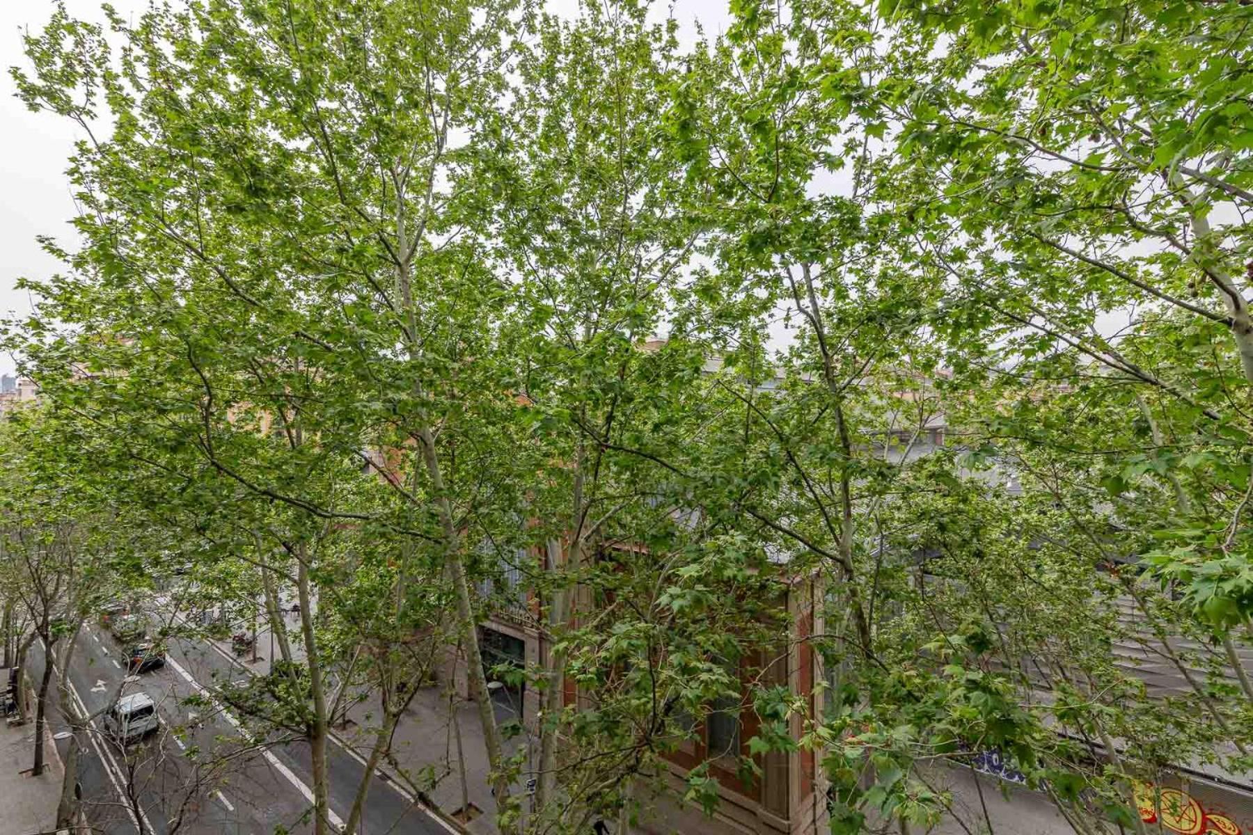 My Space - Spacious And Modern Near The Hospital Clinic * Barcelone